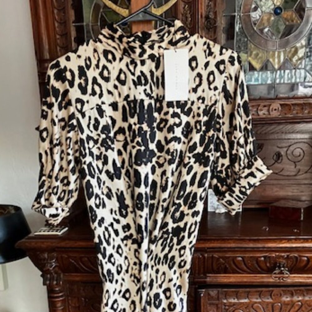 Leopard Print Dress